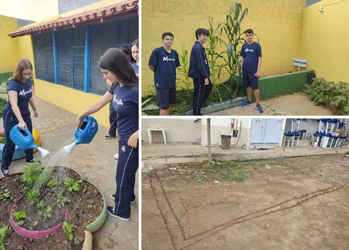 Ideias para acionar criatividade e gerar transformação social