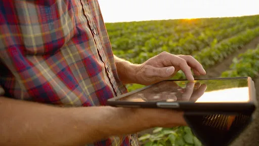 Derivativos Agrícolas e seus instrumentos para proteção