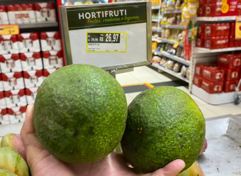 Preço do abacate dispara e quilo da fruta já chega a R$ 27