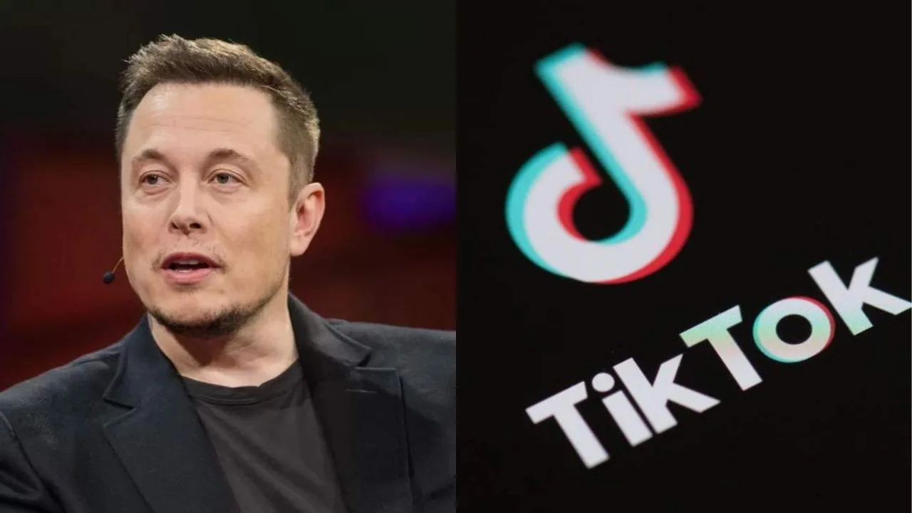 Musk vai comprar o TikTok nos EUA? Veja o que se sabe sobre o negócio