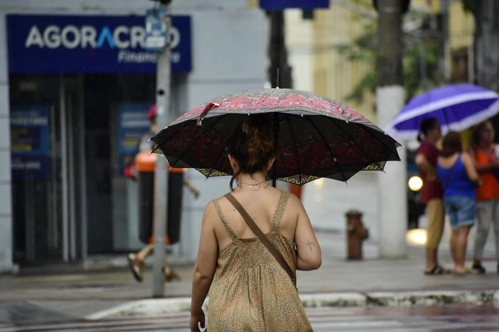 Previsão do tempo chuva clima tempo nublado