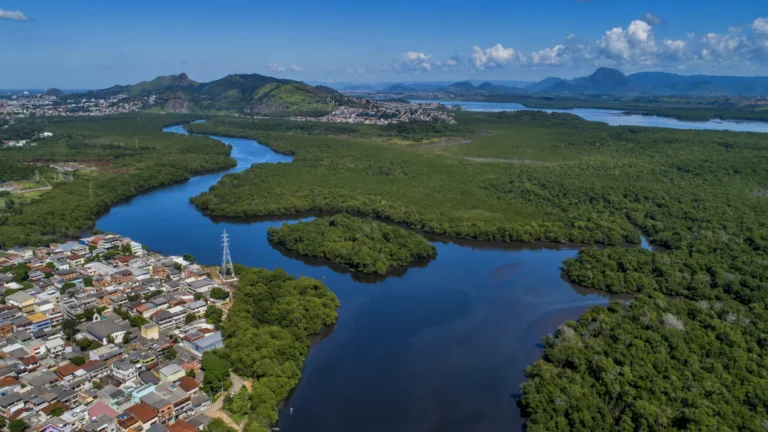 Paisagem do manguezal de Vitória com raízes aéreas e vegetação refletindo na água