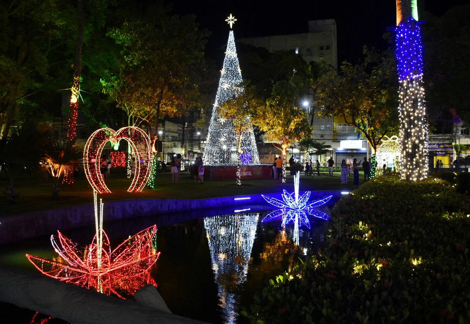 Homem é preso por furtar iluminação de Natal no Parque Moscoso