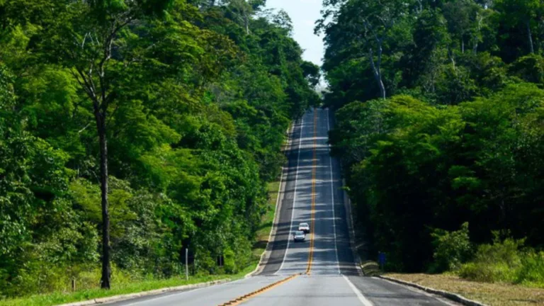 BR-101: velocidade é reduzida na reserva de Sooretama