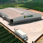 Cooabriel, maior cooperativa de café conilon do Brasil
