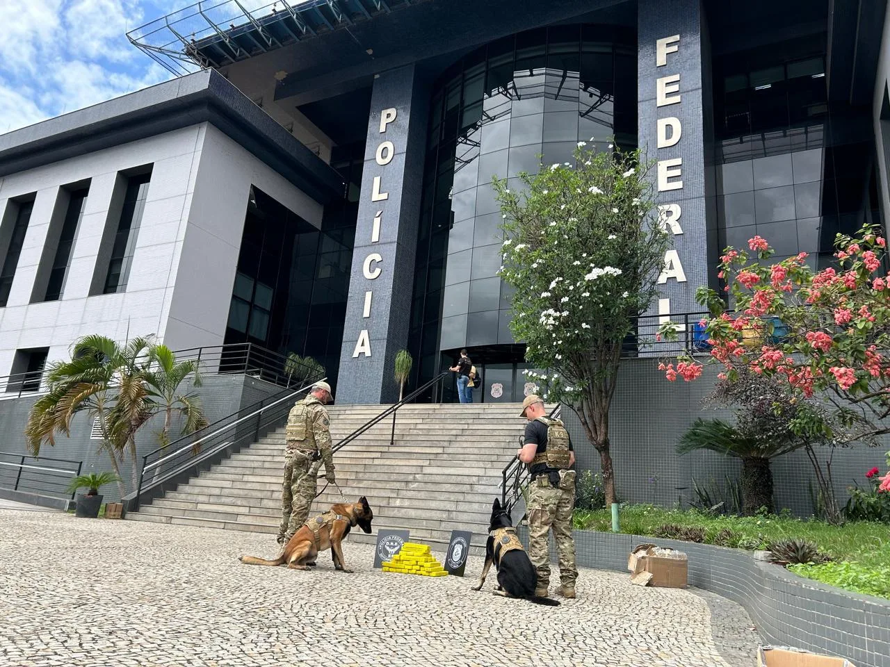 Cães ajudam PF a flagrar mais de 20kg de maconha em Vila Velha