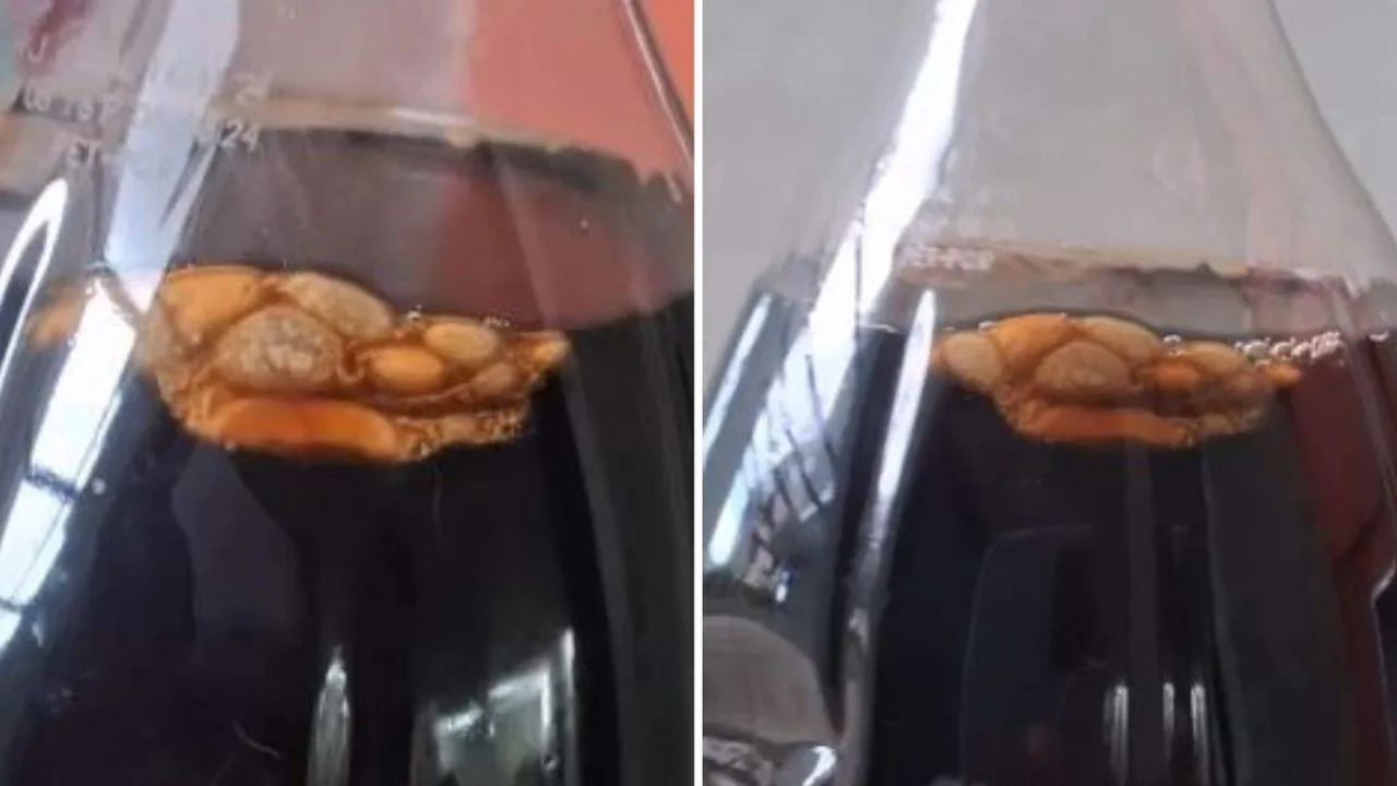 VÍDEO | "É verme?": corpo estranho é flagrado em garrafa de refrigerante no ES