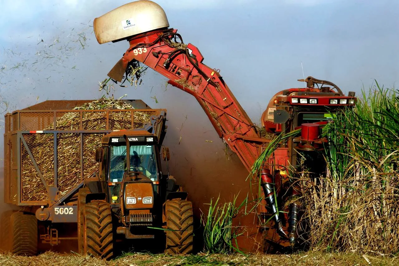 Capixabas Timbro Trading e Frisa estão entre as 100 maiores do agro, segundo Forbes