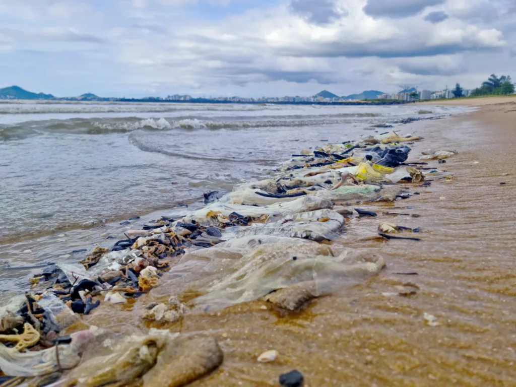 Lixo plástico e outros resíduos encontrados nas praias de Vitória, incluindo sacolas, garrafas e tampinhas