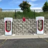 Elon Musk vs. Governo - Quem Realmente Impulsiona a Sustentabilidade?