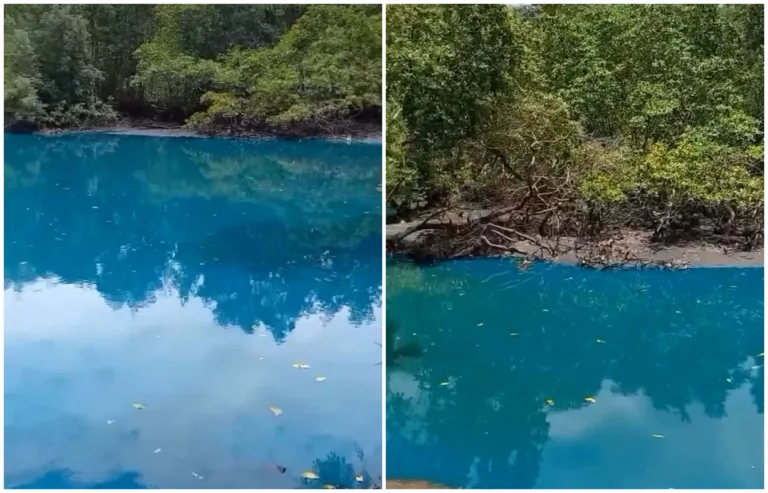 Água em canal de Vitória fica azul e chama a atenção de moradores