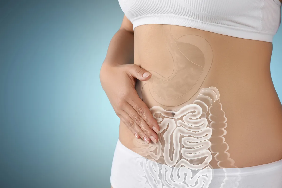 Woman with healthy digestive system on light blue background, closeup. Illustration of gastrointestinal tract