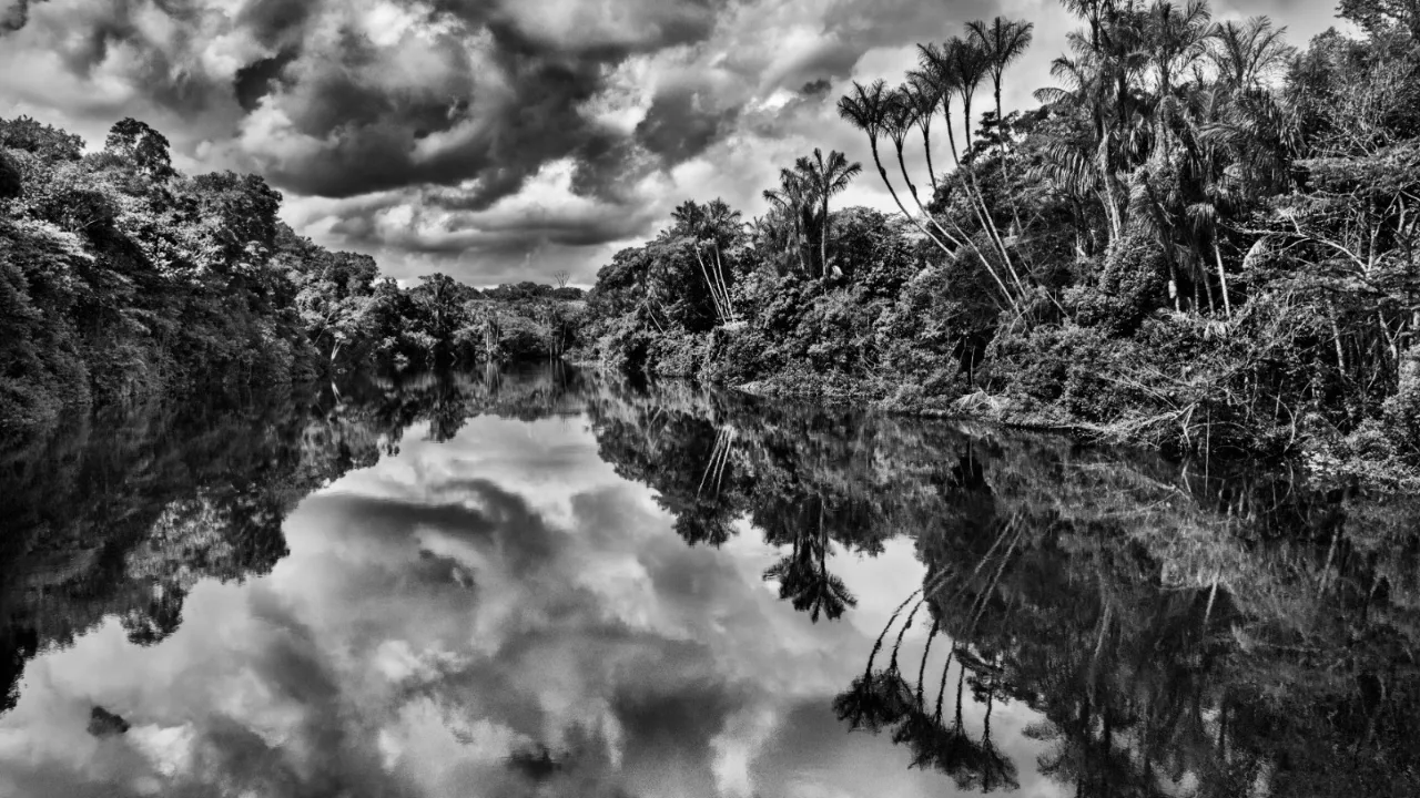 Fotógrafo Sebastião Salgado vem a Vitória para exposição