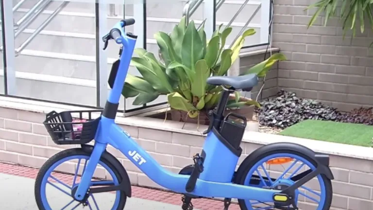 "Samurai" assalta mãe e filha com facão e foge de bike elétrica