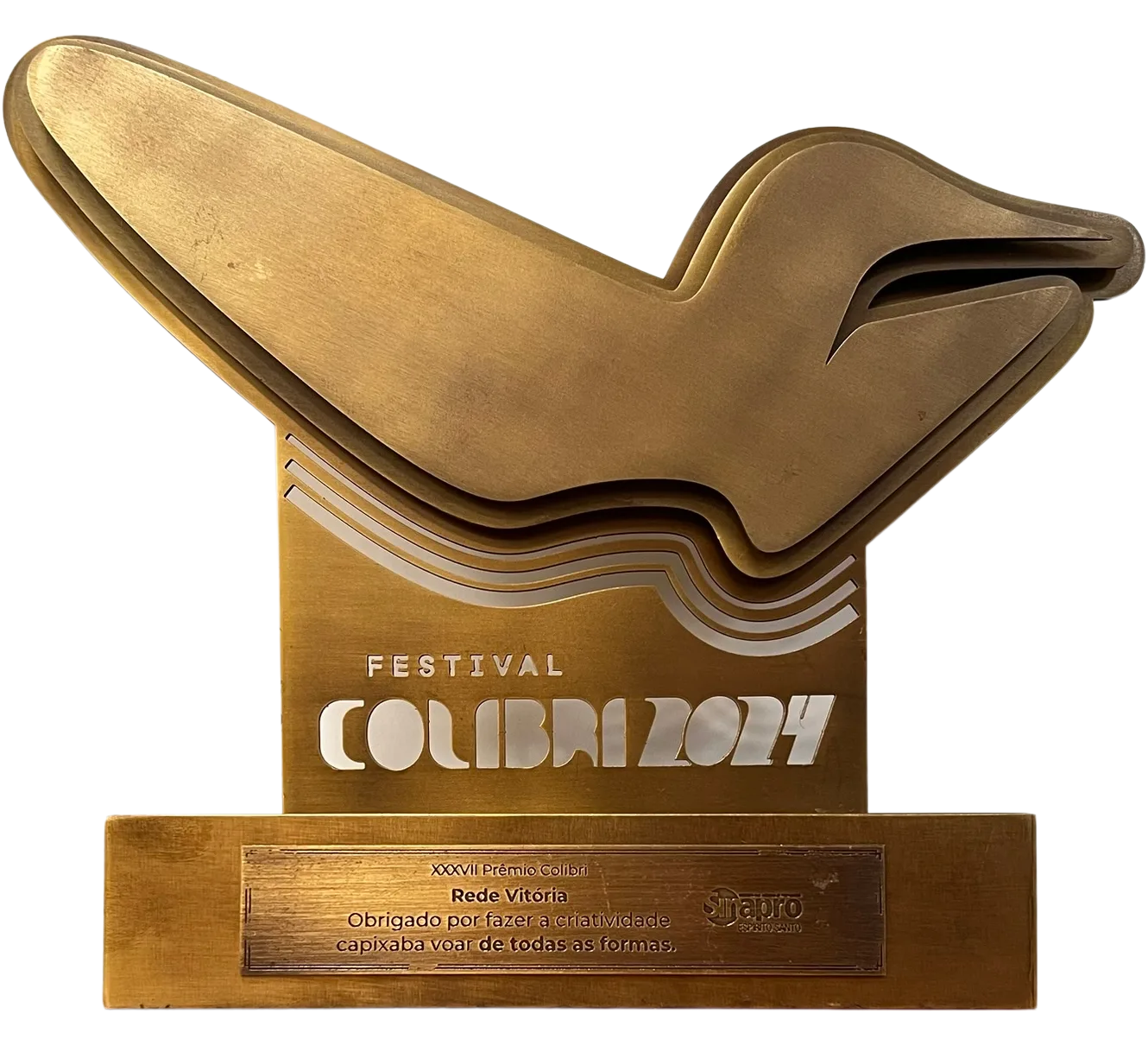 Rede Vitória é reconhecida pelo Sinapro-ES com troféu do Prêmio Colibri 2024