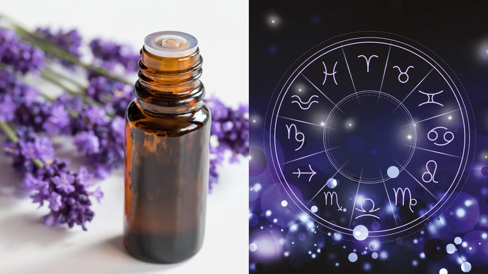 Aromas e astrologia: descubra o óleo essencial perfeito para o seu signo