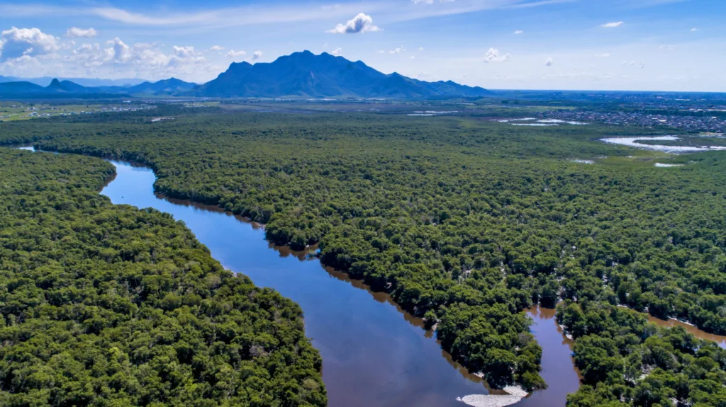 Paisagem aérea mostrando a extensão do manguezal de Vitória