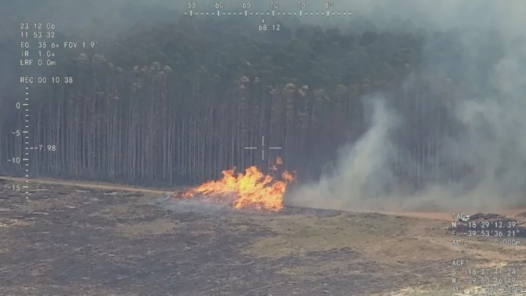 Mais de 30 focos de incêndios por dia são identificados em áreas florestais no norte do Espírito Santo