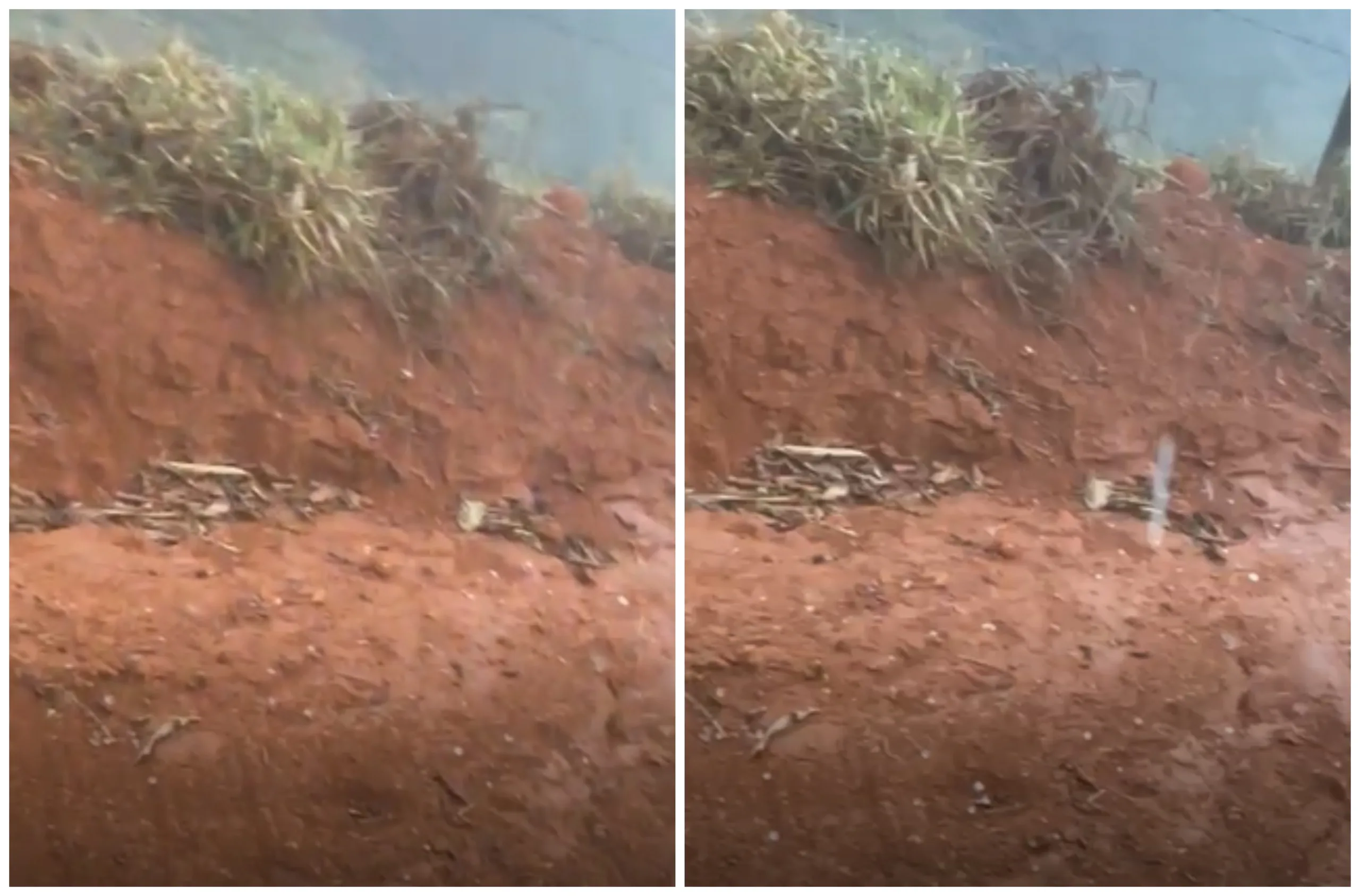 Temporal provoca chuva com pedras de granizo "enormes" em cidade do ES