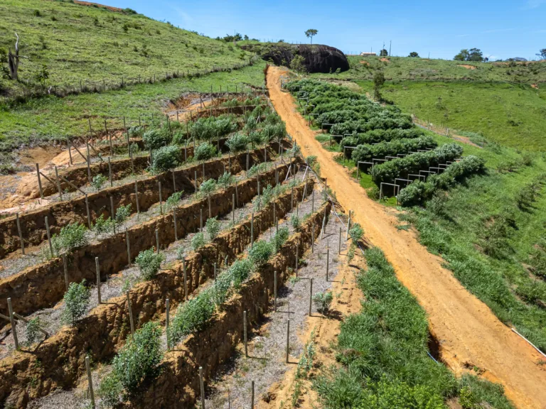 Condomínio em Santa Leopoldina vai ter agroindústria própria