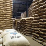 Após tarifaço, exportação brasileira de café cai 17,5% em agosto; Alemanha assume liderança