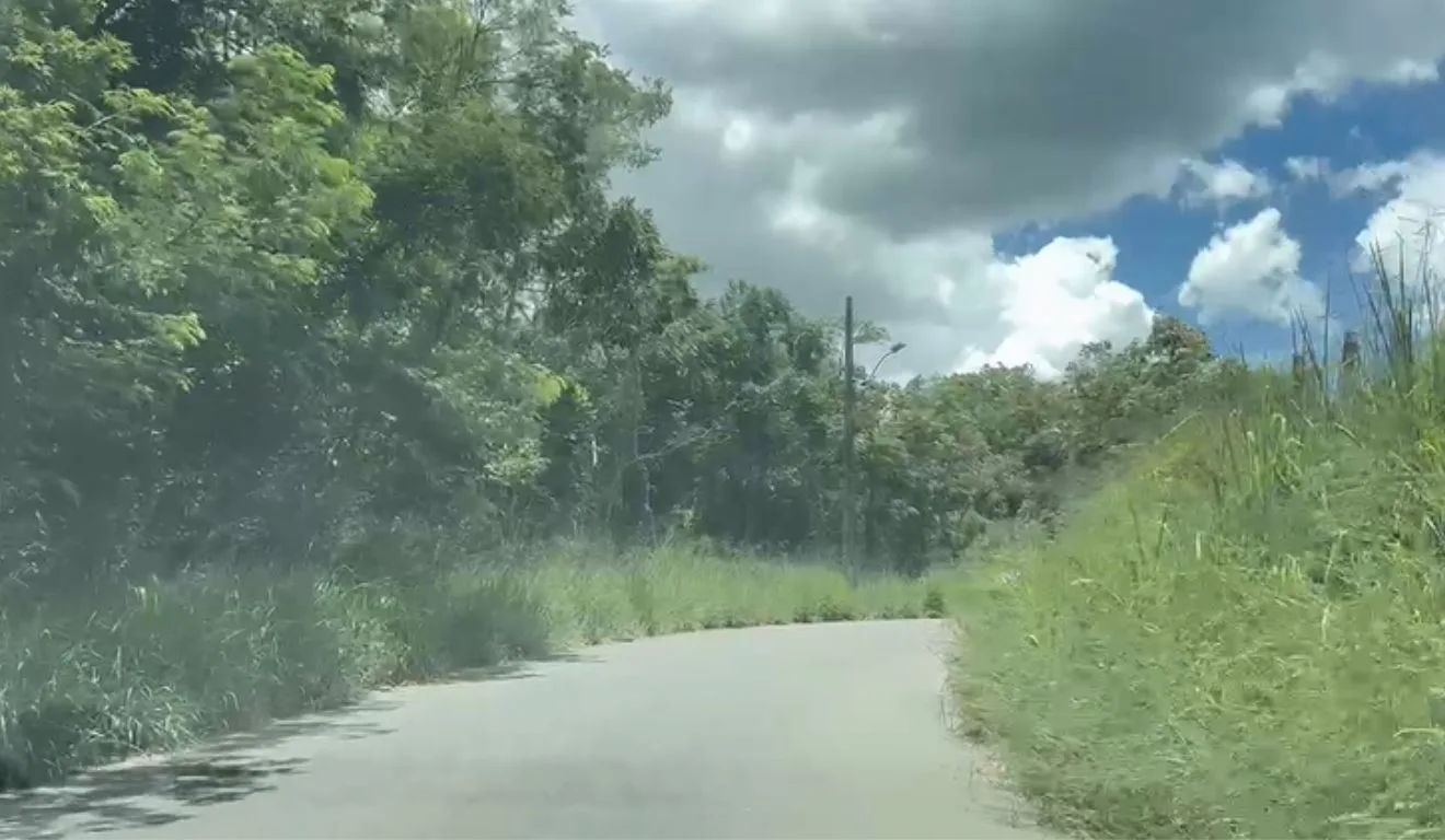 Traficantes embalavam drogas em região de mata do bairro. Foto: Reprodução/ TV Vitória