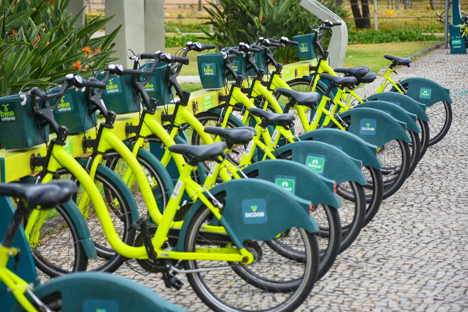 Bicicletas compartilhadas terão uso gratuito neste sábado