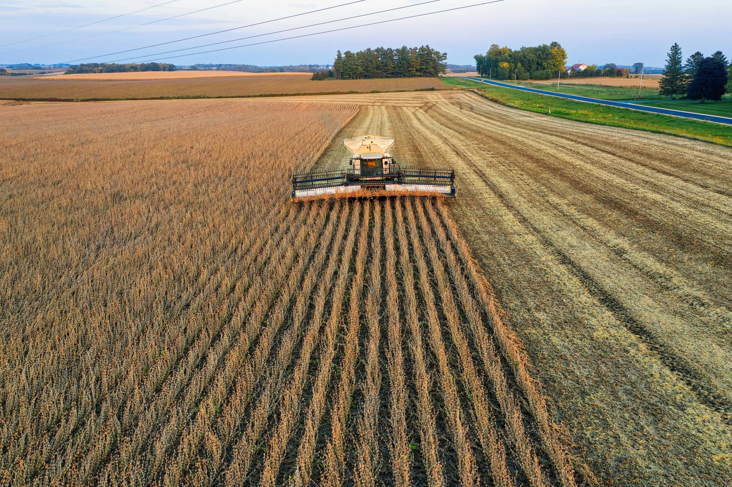 O POTENCIAL DO INTERIOR BRASILEIRO NO AGRONEGÓCIO E EMPREENDEDORISMO