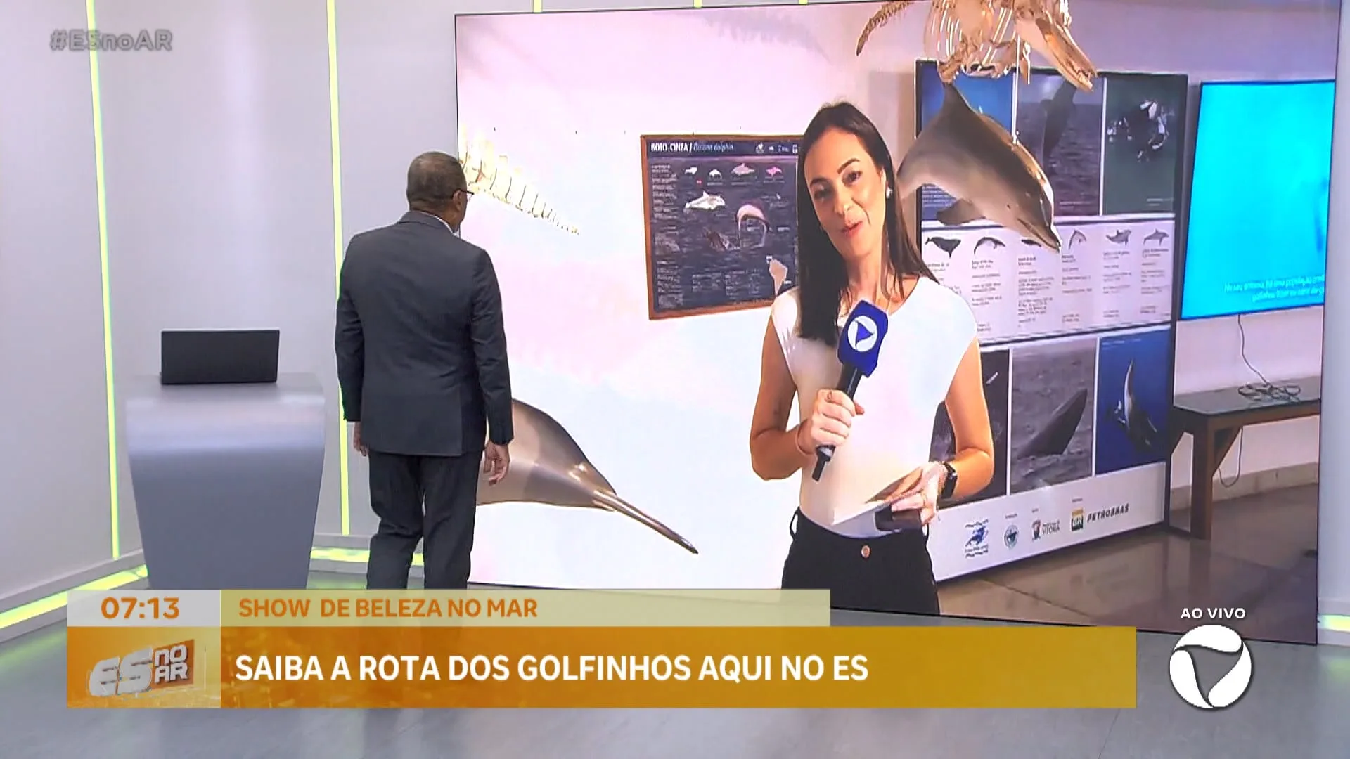 Saiba a rota dos golfinhos aqui no ES