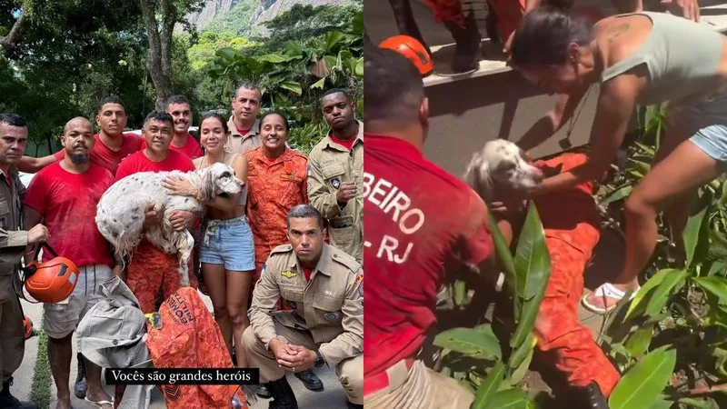 Cachorro de Anitta se assusta com fogos, cava buraco na mansão e é resgatado no RJ