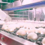 A produção de ovos de Santa Maria de Jetibá é a mais forte do ES. O município é o que mais produz ovo no Brasil. Crédito: Divulgação