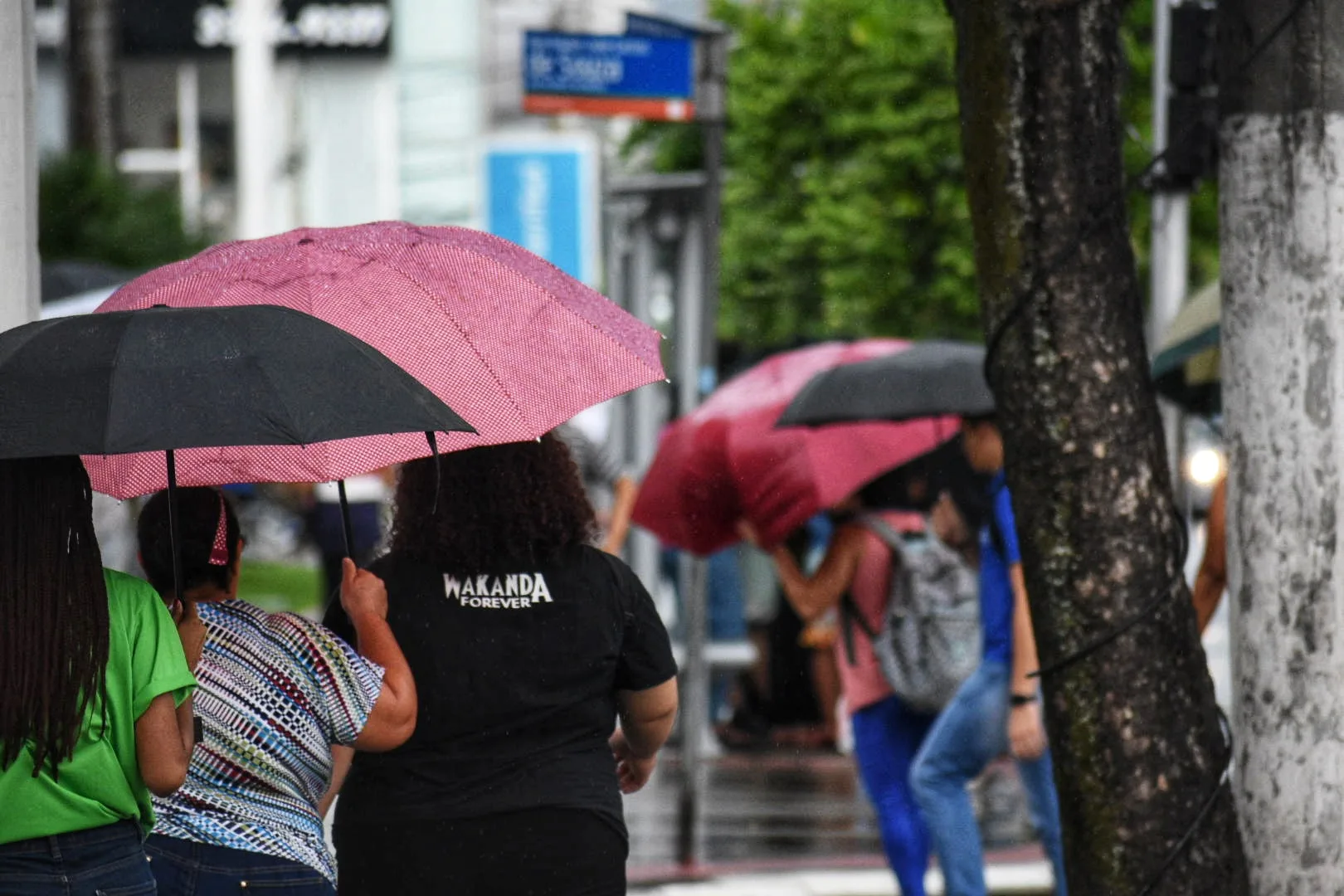 Previsão do tempo chuva clima tempo nublado