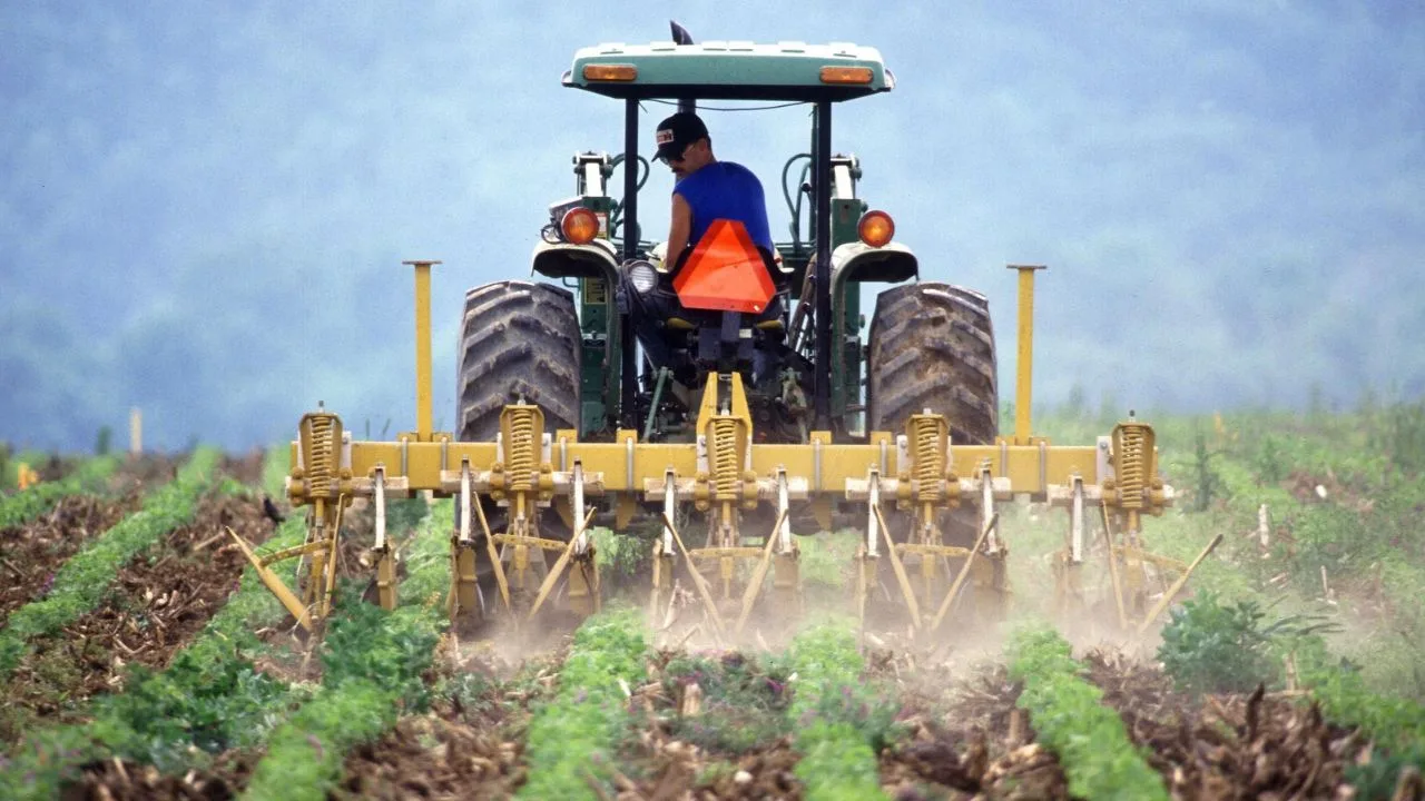 Agronegócio do ES fatura 71,1% mais com exportações até novembro