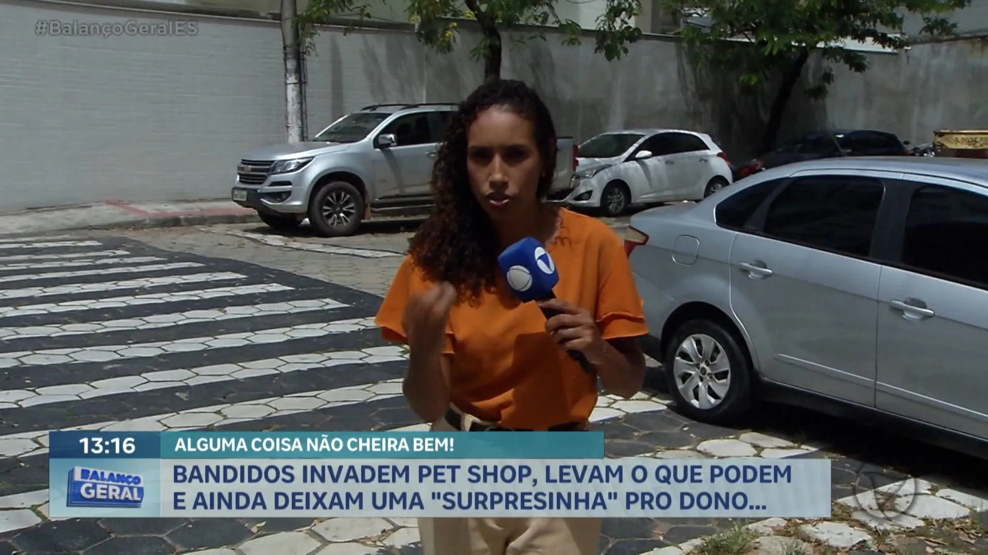 Pet shop em Vitória sofre furto e registra prejuízo