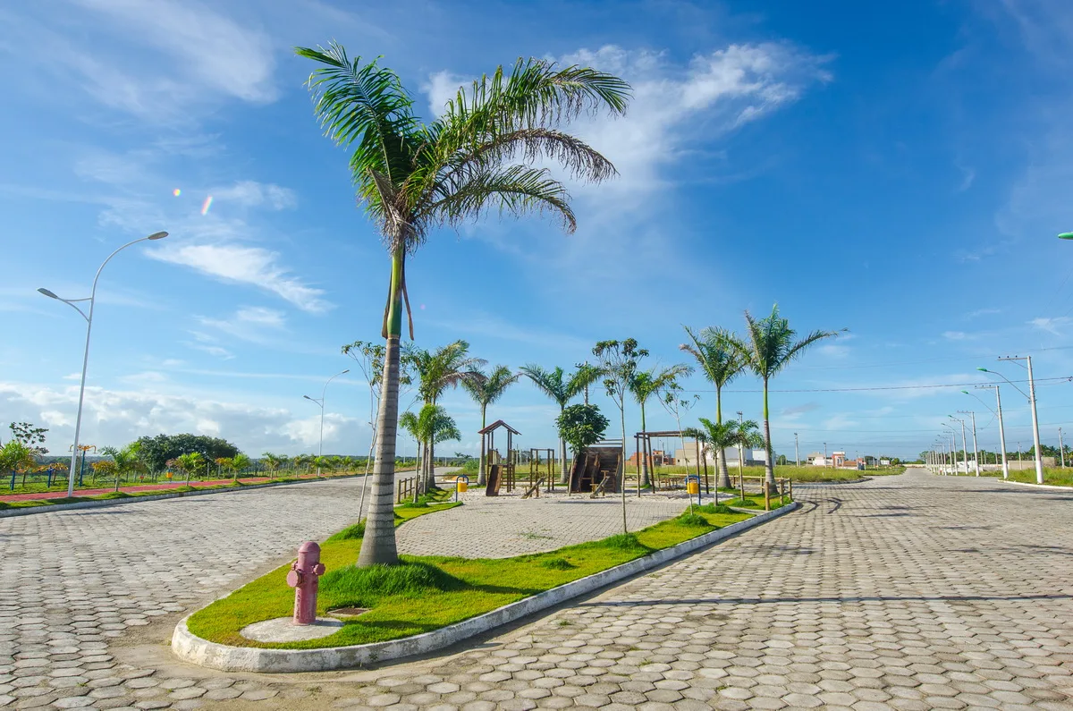 Ação de meio ambiente planta centenas de mudas em São Mateus