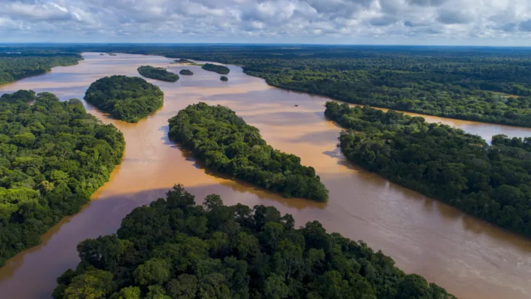 Vista aérea do Rio Doce, com ilhas de vegetação densa e frondosa, representando um raro trecho preservado da Mata Atlântica capixaba