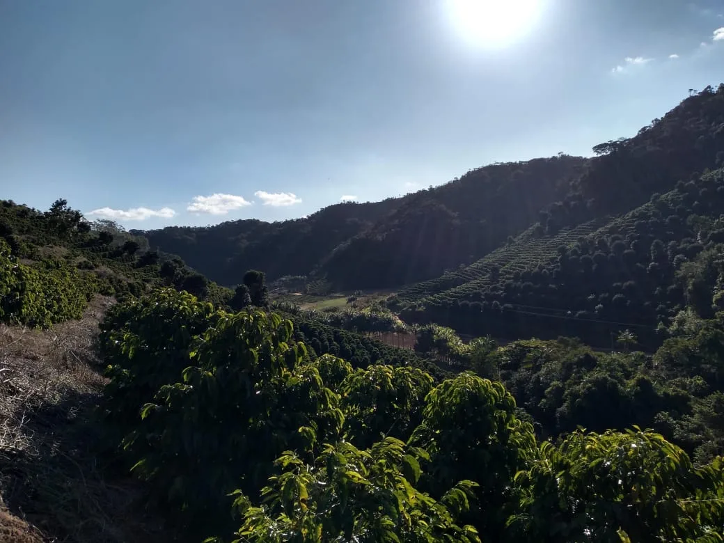 Propriedade de Estevâo Douro, cafeicultor de Marechal Floriano (ES)