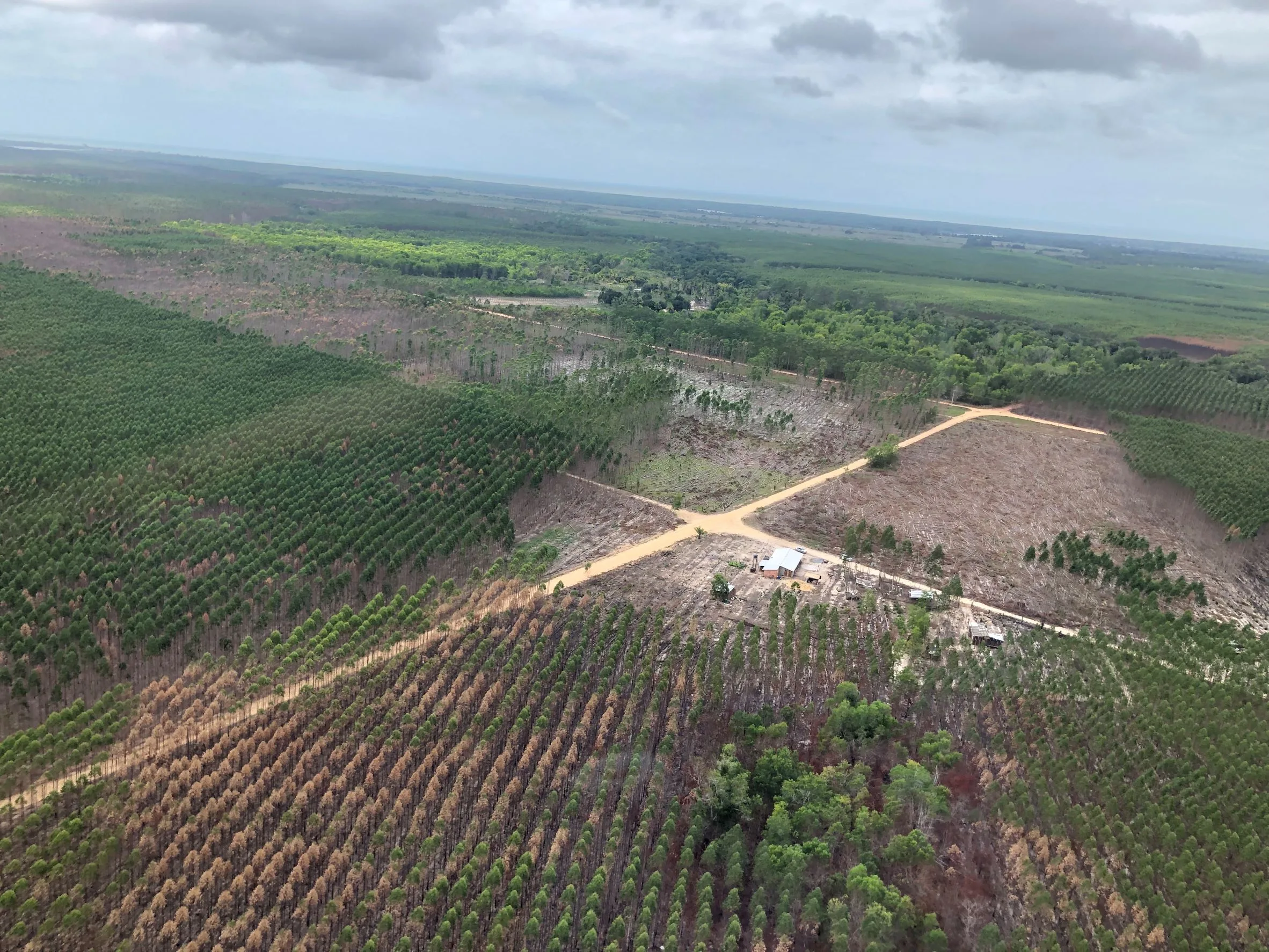 Suzano identifica grande quantidade de focos de incêndio no ES e se empenha em reduzi-los