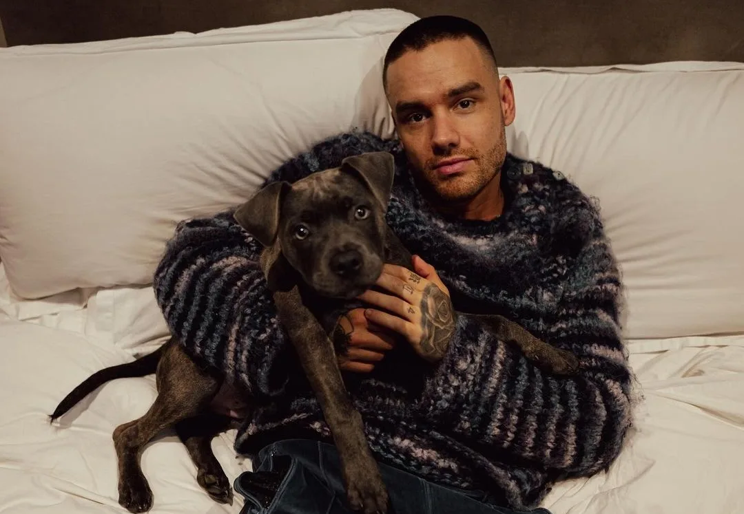 Liam Payne começou carreira no reality 'X Factor'; veja vídeo e entenda a trajetória