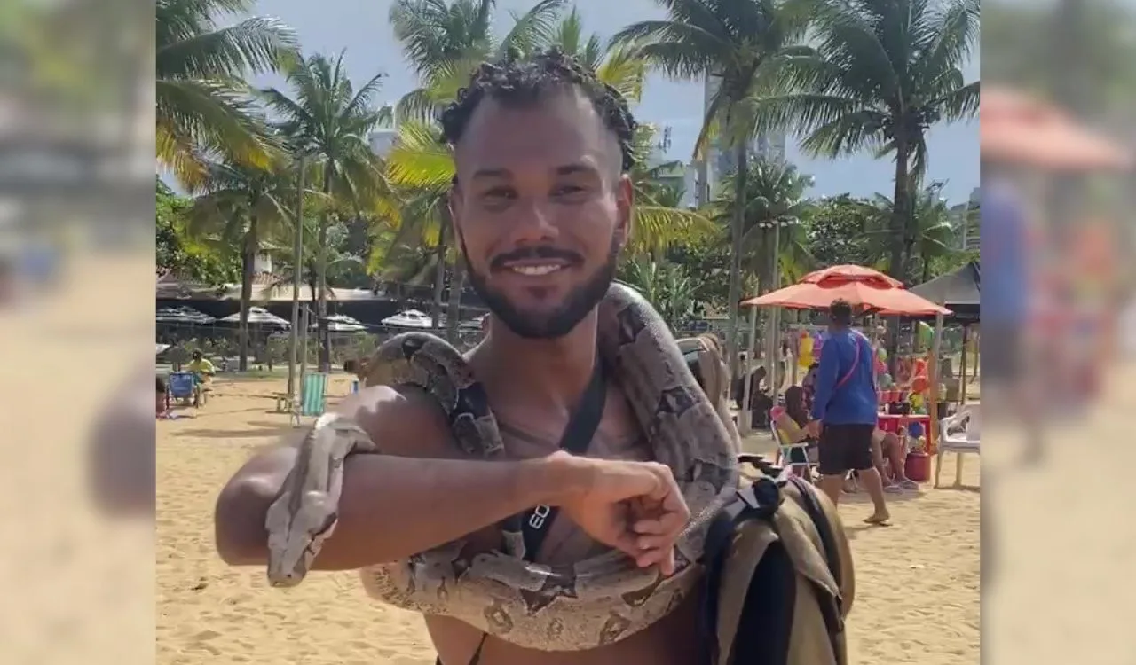 VÍDEO | Olha a cobra! Jiboia faz sucesso na praia da Curva da Jurema