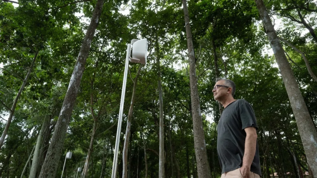 O artista Paulo Vivacqua na obra Sentinelas, no Parque Cultural Casa do Governador, em Vila Velha - ES. Foto: Edson Chagas