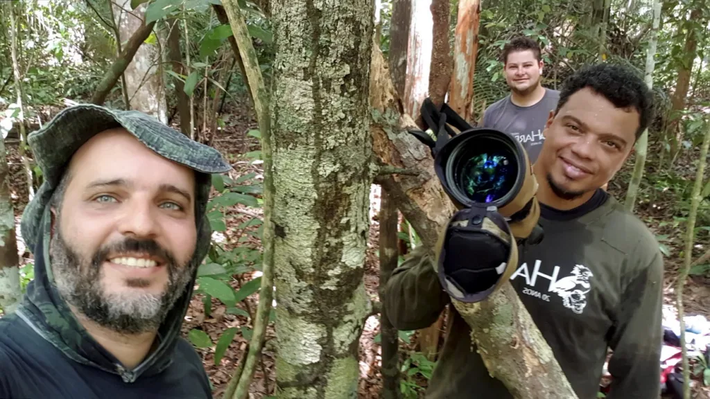 Pesquisadores Aureo Banhos e Brener Fabres em campo, monitorando harpias no Norte do Espírito Santo