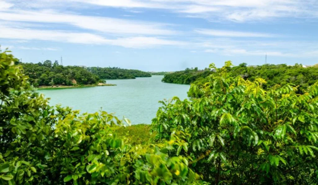 Margens da Lagoa Jacuném.