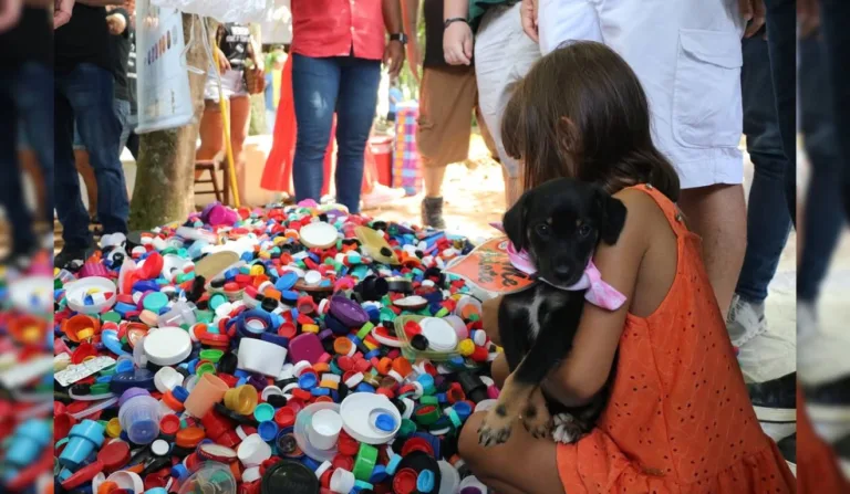 Mutirão vai arrecadar recursos para ONG Vira-Lata Vira Luxo, que resgata e abriga cães de rua. Foto: Divulgação/ ONG Vira-Lata Vira Luxo