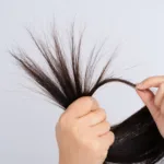 Cabelo ressecado e com ponta dupla/Reprodu&ccedil;&atilde;o