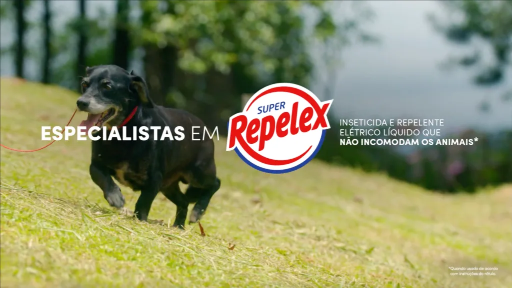 Repelex e ONG Cão Sem Dono se unem para conscientizar sobre adoção de pets