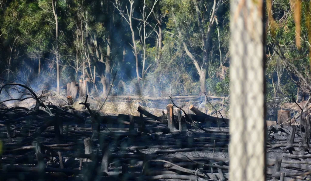 Incêndio Aeroporto Vitória