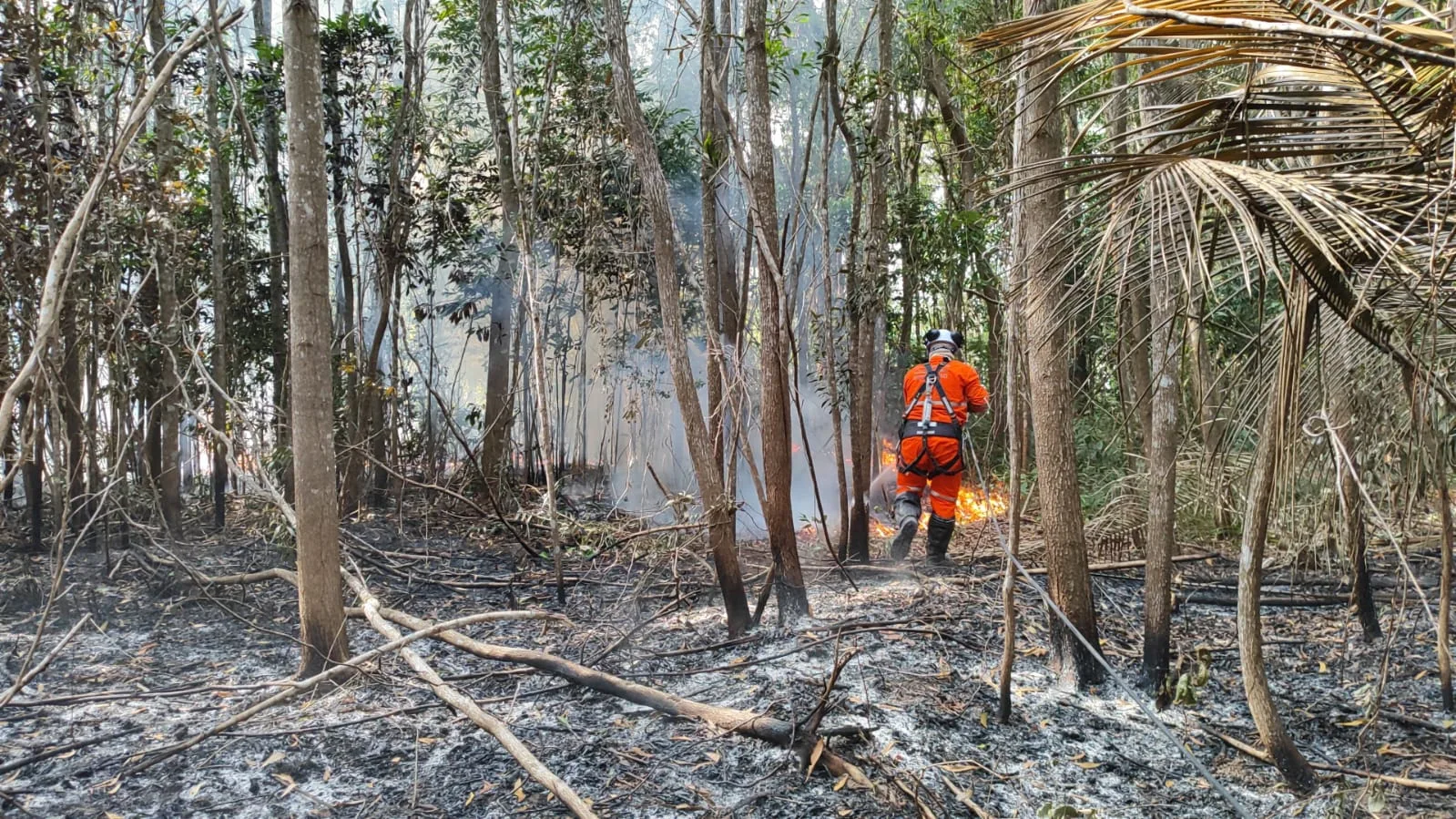 Colaborador da brigada própria da Suzano atuando no controle das chamas em um incêndio em Aracruz, em 2025