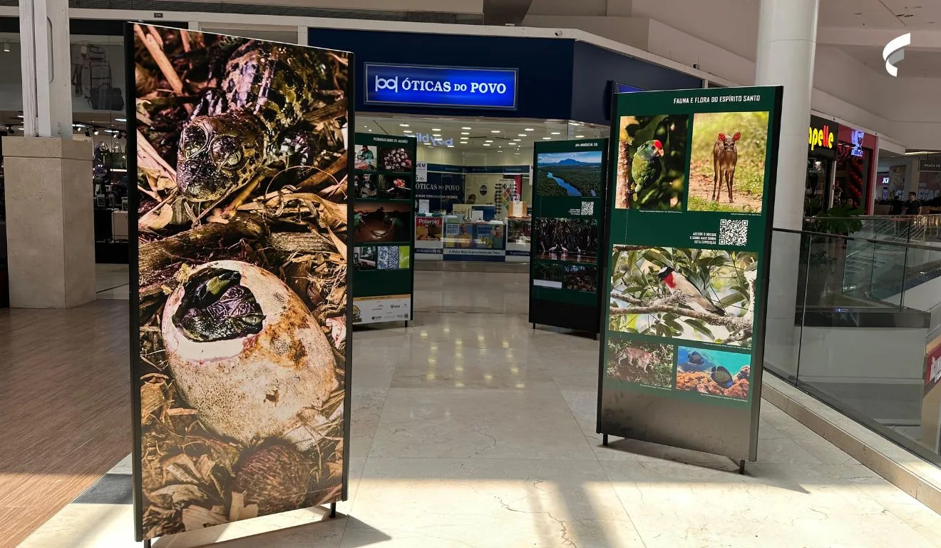 Fotos da Exposição “Projeto Caiman” no Shopping Vitória, ES