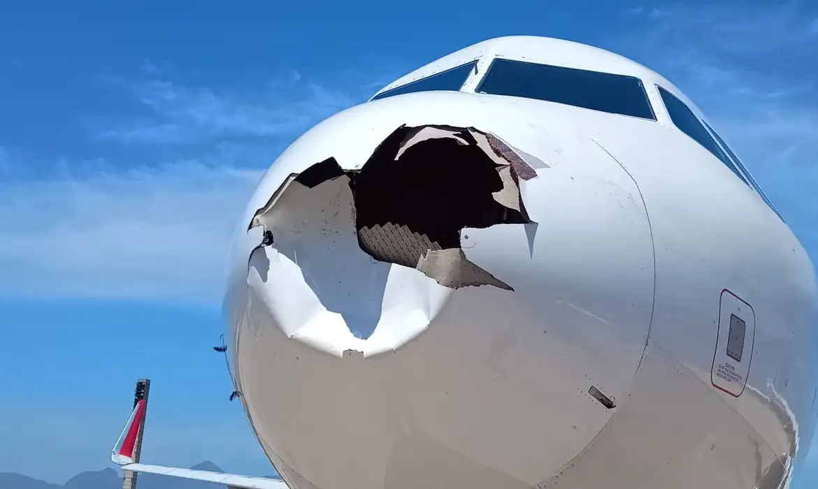 Avião da Latam colisão com pássaro